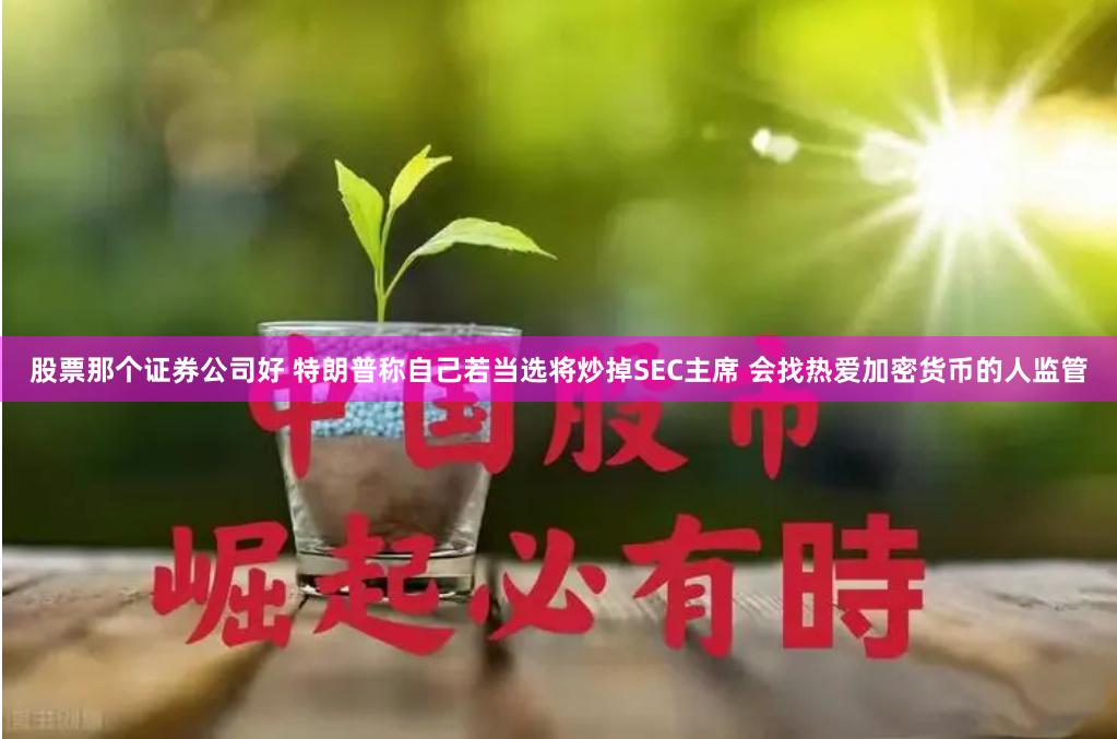 股票那个证券公司好 特朗普称自己若当选将炒掉SEC主席 会找热爱加密货币的人监管