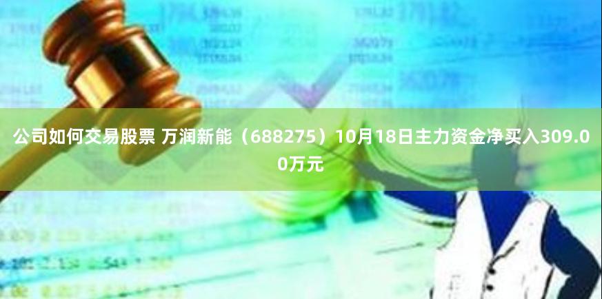 公司如何交易股票 万润新能（688275）10月18日主力资金净买入309.00万元