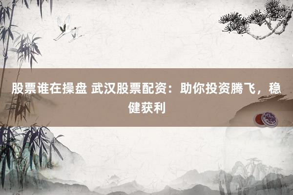 股票谁在操盘 武汉股票配资：助你投资腾飞，稳健获利