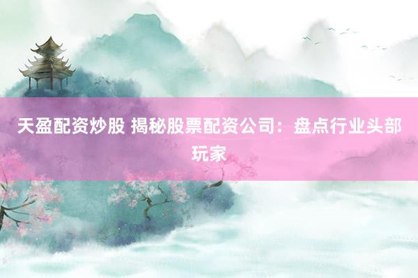 天盈配资炒股 揭秘股票配资公司:盘点行业头部玩家